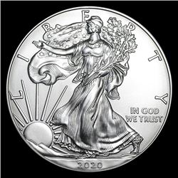 2020 1 oz American Eagle Silver Coin