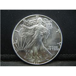 1987 American Silver Eagle