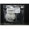 Image 1 : 2009 American Silver Eagle