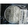 Image 2 : 2009 American Silver Eagle