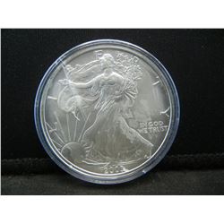2005 American Silver Eagle