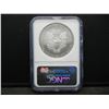 Image 4 : 2008 American Silver Eagle NGC Gem UNC