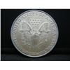 Image 2 : 2007 Silver Eagle.