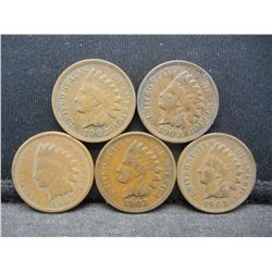 (5) 1903 Indian Head Cents