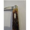Image 2 : 329 - Case X X Muskrat Pocket Knife