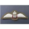 Image 1 : 616 - Royal Air Force Pilot Wings Queen's Crown