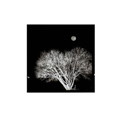 Moonrise over Fort Pierce