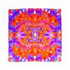 Image 1 : Chanel Silk Scarf