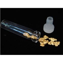1 Gram Natural Alluvial Gold -