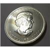 Image 1 : 2011 Canadian Silver Maple Leaf Grizzly