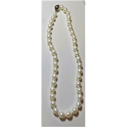 16 inch Freshwater Pearl Set w/ Sterling Clasp