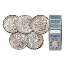 5 pc. MS 63 Common Date Morgan Dollar Set