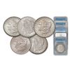 Image 1 : 5 pc. MS 63 Common Date Morgan Dollar Set