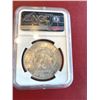Image 2 : 1902 o MS 64 NGC Morgan Dollar
