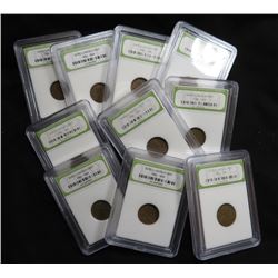 10 pcs. Wheat Cents in Slabs - Collectible
