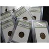 Image 2 : 10 pcs. Wheat Cents in Slabs - Collectible