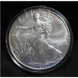 2007 US Silver Eagle Lighthouse Series