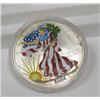 Image 1 : 2004 US Silver Eagle Painted Patriotic