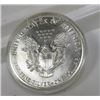Image 2 : 1987 US Silver Eagle Patriotic Painted