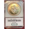 Image 2 : 1999 MS 67 US Silver Eagle Toned Rims