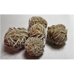 Lot of 5 Natural History DESERT ROSE Gems