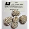 Image 2 : Lot of 5 Natural History DESERT ROSE Gems