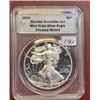 Image 1 : 2009 Proofed Overstrike PM US Silver Eagle