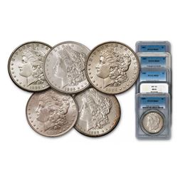 5 pcs. Random Dates MS 63 NGC or PCGS Morgan $1
