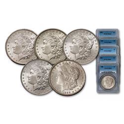 Lot of 5 - MS 64 PCGS or NGC Morgan Dollars