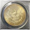 Image 2 : 1903 MS 65 PCGS Morgan Dollar