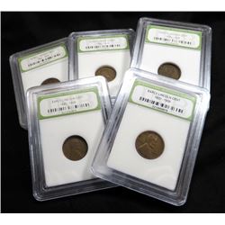 Lot of 5 Early Date and Wheat Back Cents in Slab