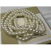 Image 1 : Costume Pearl 5 pc. Stretch Bracelet Set in Box