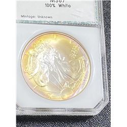 1999 Better Date Rainbow Tone Silver Eagle MS 67