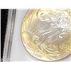 Image 2 : 1999 Better Date Rainbow Tone Silver Eagle MS 67