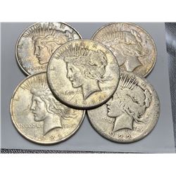 Lot of 5 Peace Silver Dollars