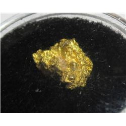 4.81 Gram Natural Gold Nugget