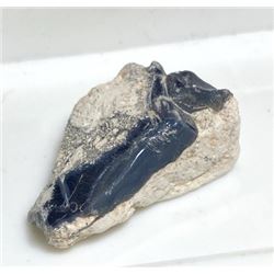26.5 ct. Natual Rough Cut Black Opal