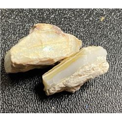 74 tcw. Rough Cut Opal Parcel