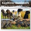 Five Day Duck/Grouse Combo Hunt for One Hunter