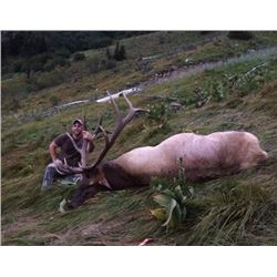 Governor’s Westside Roosevelt Elk Tag