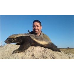 Small Cat GRAND SLAM Ten-day Limpopo, South Africa Hunting Safari