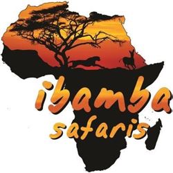 Seven Full Days Hunting in Limpopo, South Africa for Two Hunters