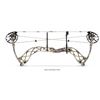 Image 1 : BOWTECH CARBON ICON Compound Bow