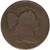 Image 1 : 1794 1C Head of 1794. S-27, B-9, R.5. Good Details, En 1794[1C] Head of 1794. S-27, B-9, R.5--Enviro