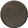 Image 2 : 1796 1C Draped Bust, Reverse of 1796 NC-4, High R.5--C 1796[1C] Draped Bust, Reverse of 1796 NC-4, B