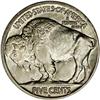 Image 2 : 1919-D 5C MS64 NGC. The typical 1919-D Buffalo Nickel 1919-D[5C] MS64 NGC.