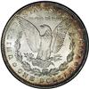Image 2 : 1884 S$1 MS64 NGC. Frosty luster. Partially brilliant 1884[S$1] MS64 NGC.