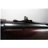 Image 14 : Winchester Model 71 .348 W C F Lever Action Rifle
