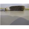 Image 3 : Custom Hunting Knife With Antler Handle
