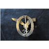 Image 3 : Luftwaffe Pilot's Badge